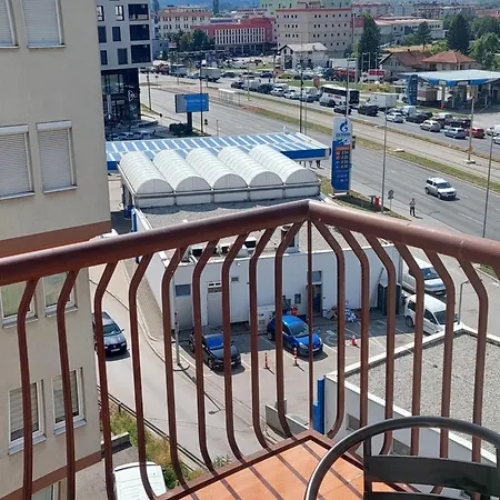 Zvekir